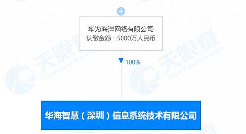 華為海洋深圳新公司成立，深耕數(shù)據(jù)處理領(lǐng)域