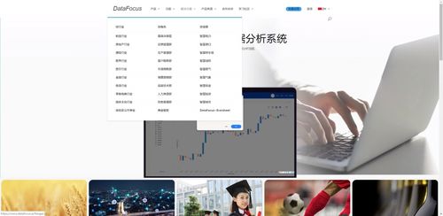中國(guó)大數(shù)據(jù)與信息系統(tǒng)集成服務(wù)領(lǐng)域的領(lǐng)先企業(yè)概覽