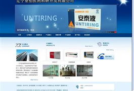 易勢 沈陽網(wǎng)站制作、網(wǎng)站建設(shè)與網(wǎng)站設(shè)計(jì)的專業(yè)引領(lǐng)者